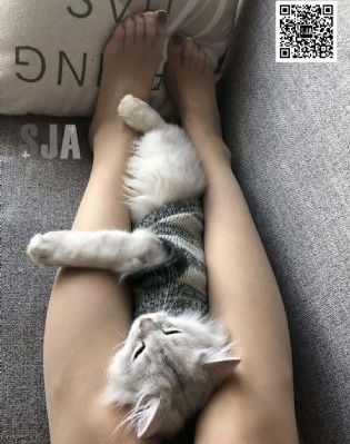 久久成人福利_高清免费播放